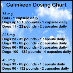 Calmkeen pet relaxing scene with dog and cat, promoting calmer moments.