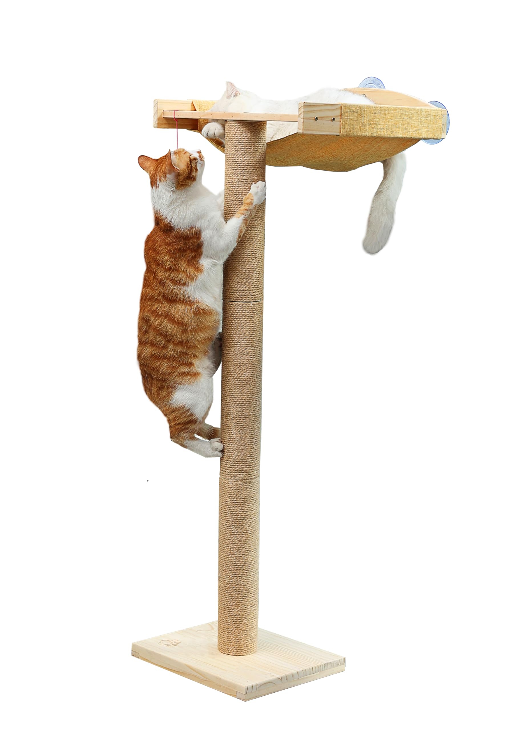 Caloreduce cat window perch with suction cups providing secure elevated viewing for curious cats