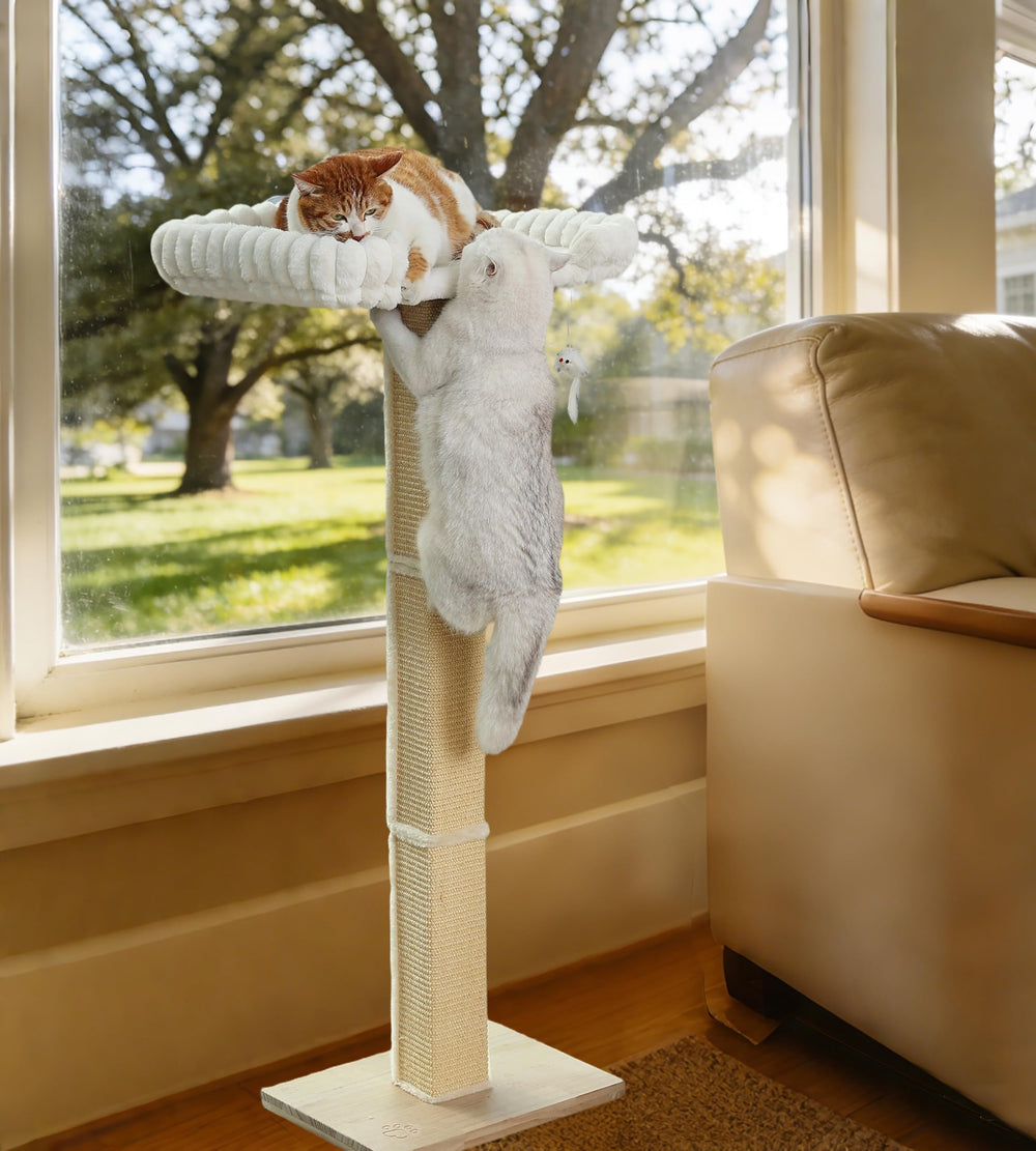 Caloreduce tall cat tree suitable for climbing and resting large cats.