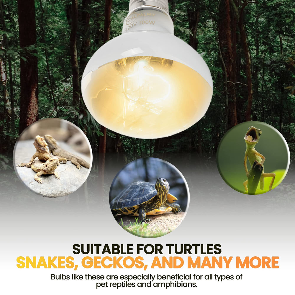 CALPALMY turtle and gecko compatible heat lamp promotes natural activity and warmth