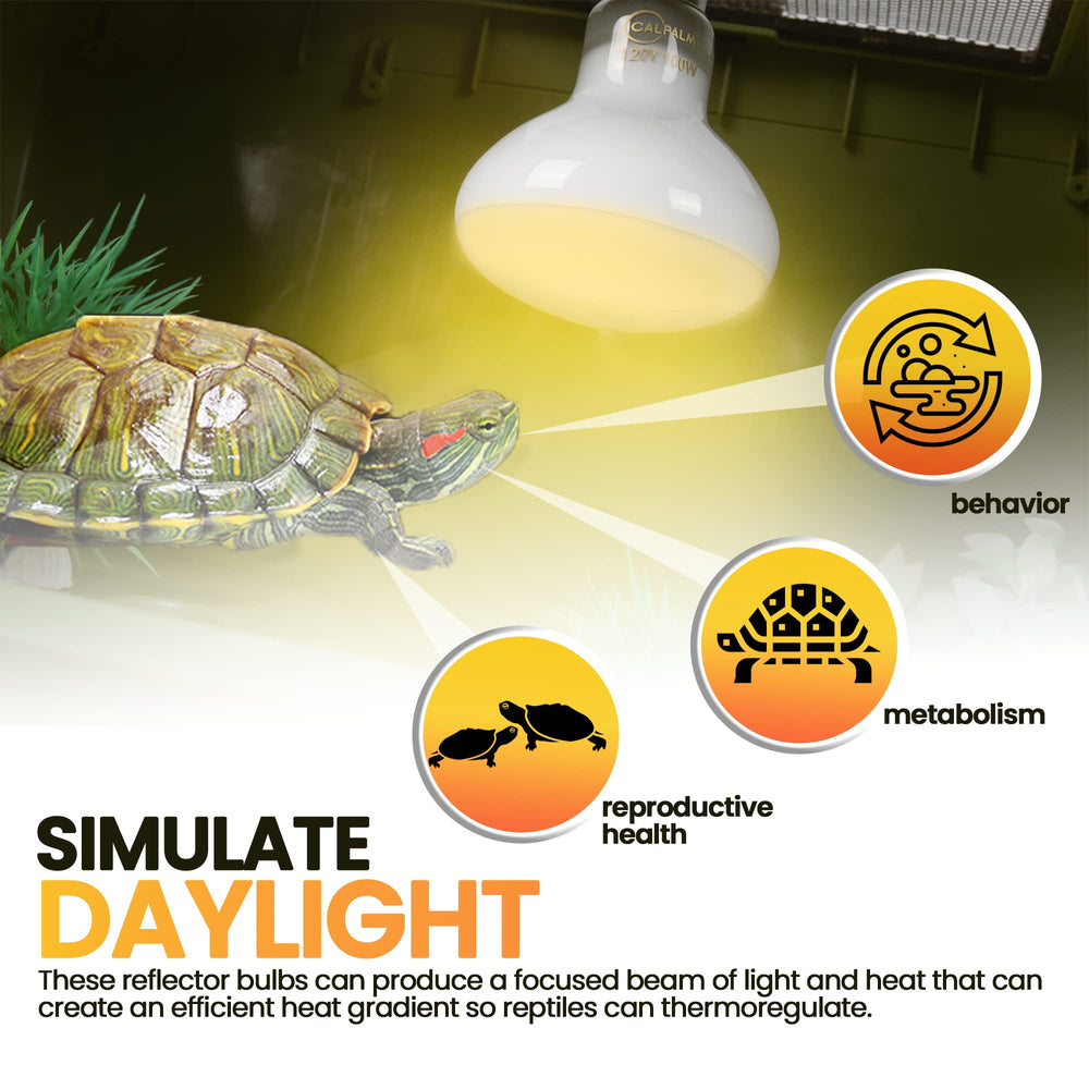 CALPALMY UV daylight basking bulb for focused heat and activity