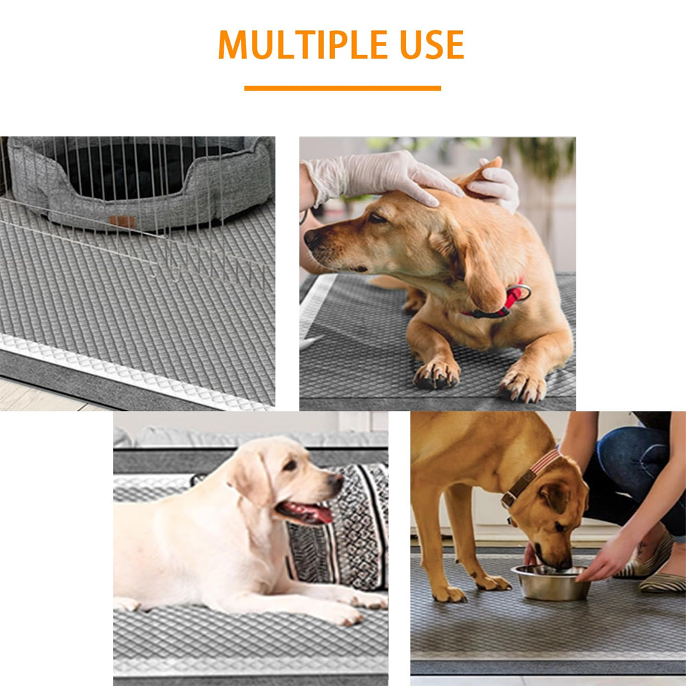 Camonti pad in crate setup supports easy training.