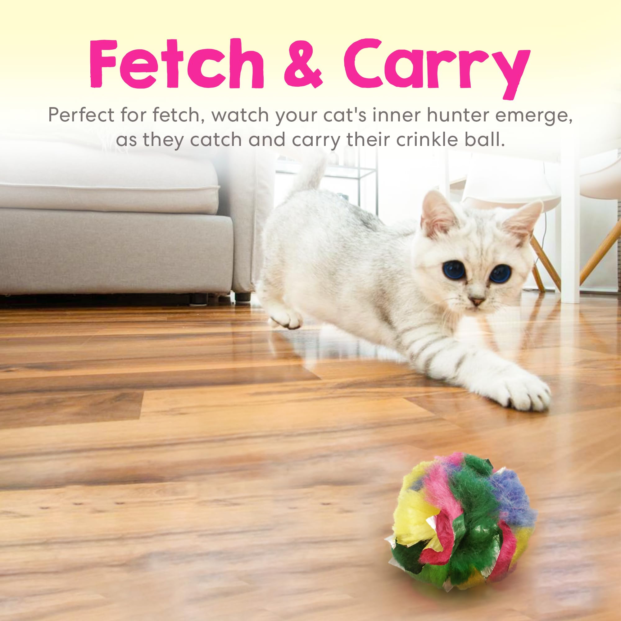 Cancor Innovations lightweight kitten ball ideal for solo play.