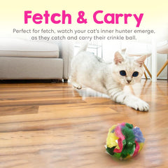 Cancor Innovations lightweight kitten ball ideal for solo play.