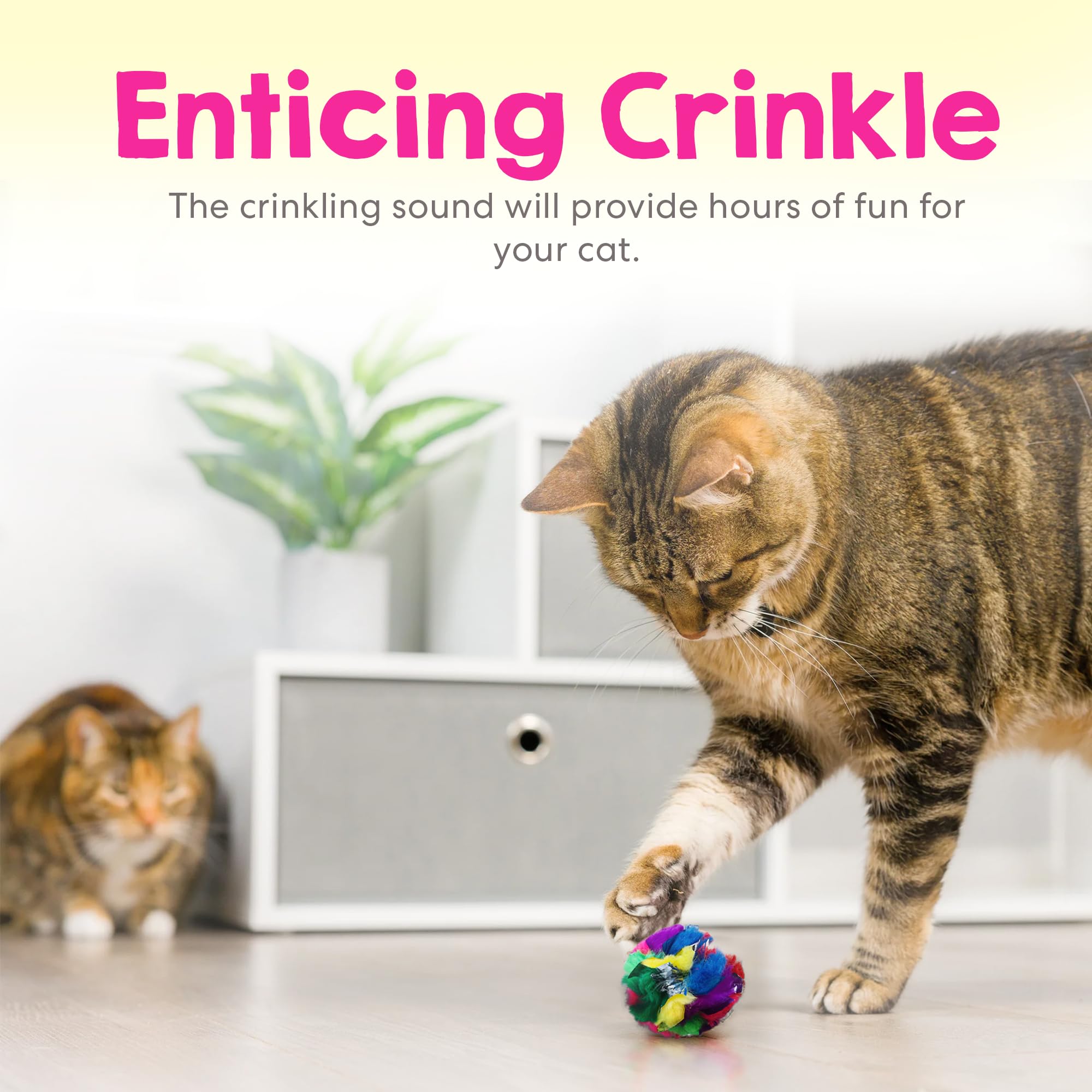 Cancor Innovations sparkly crinkle ball invites chasing and batting fun.