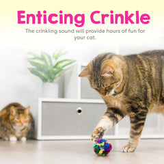 Cancor Innovations sparkly crinkle ball invites chasing and batting fun.