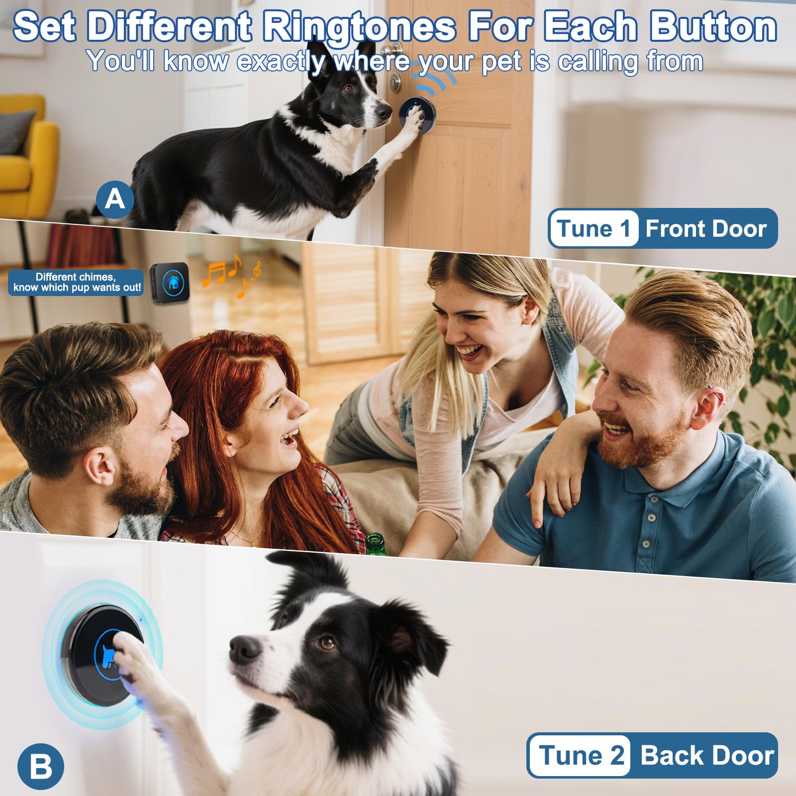 Cangecit ringtone setup guide helps quick training customization
