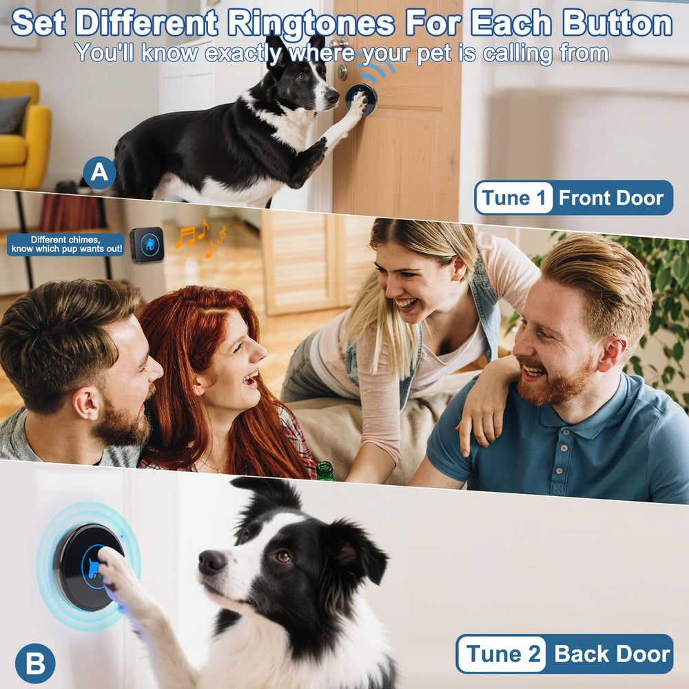 Cangecit ringtone setup guide helps quick training customization