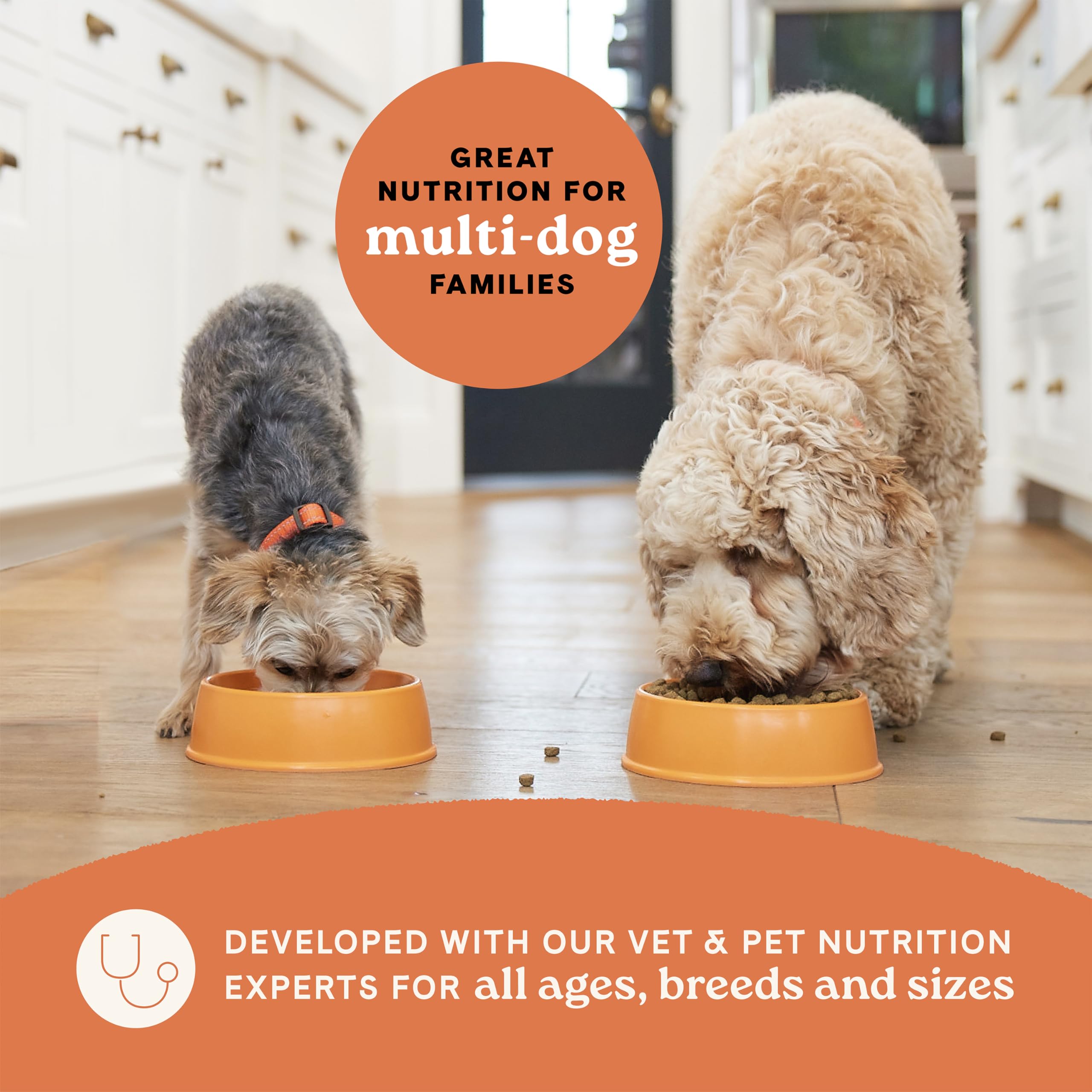 CANIDAE All Life Stages dogs eating together, suitable for multi-dog households