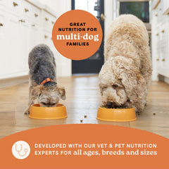 CANIDAE All Life Stages dogs eating together, suitable for multi-dog households