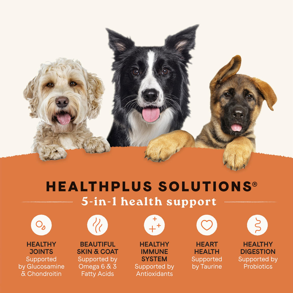 CANIDAE All Life Stages first ingredient chicken close-up for digestible protein.