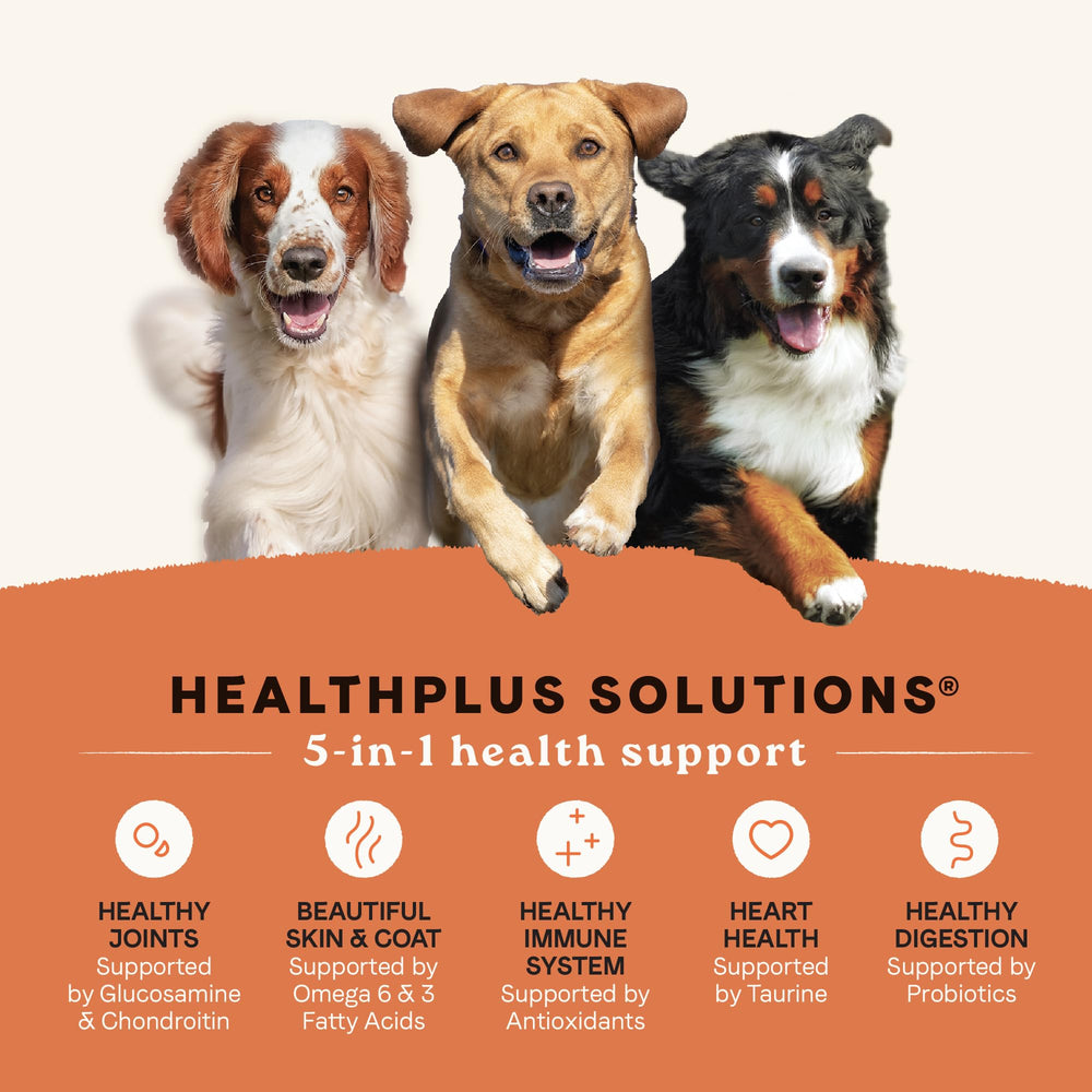CANIDAE All Life Stages High Protein dog food bag highlights protein-rich formula for active dogs.