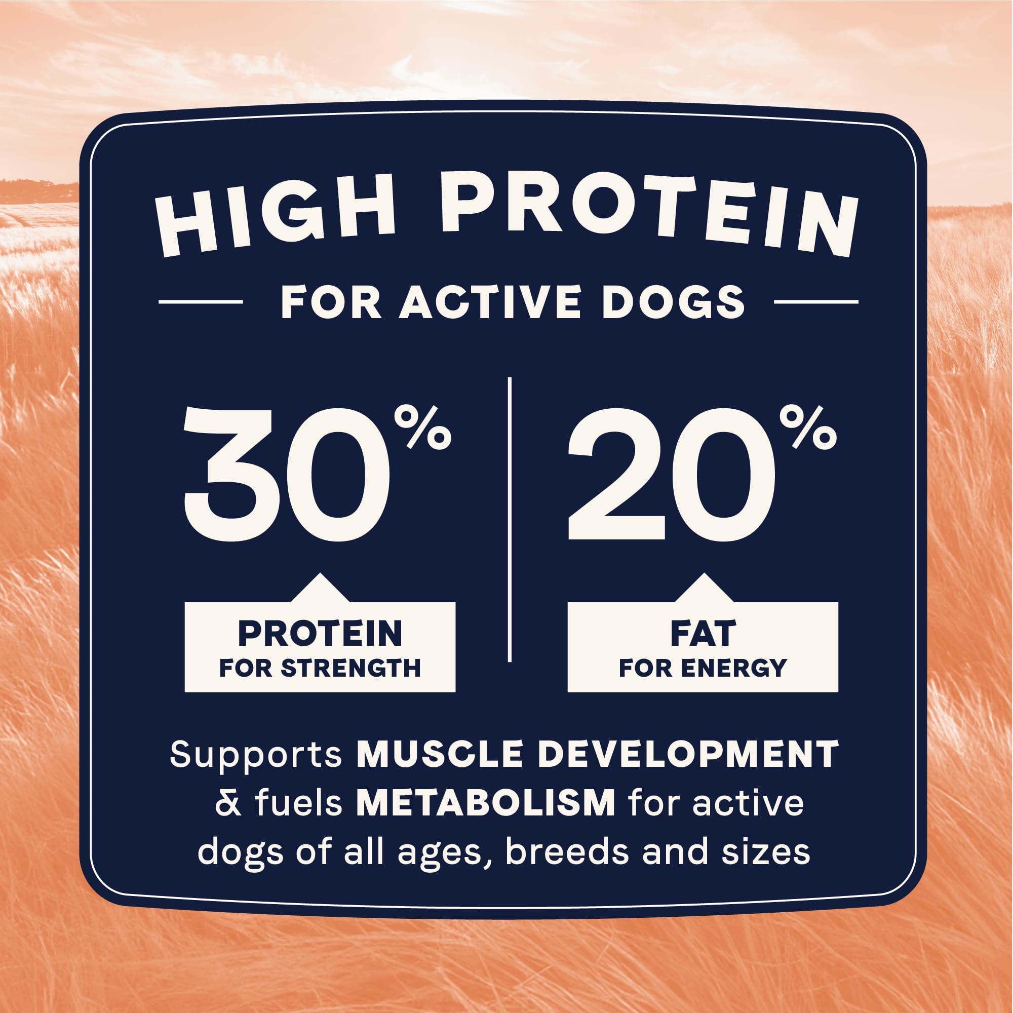 CANIDAE trio of dogs enjoying the food during playtime suggests versatile nutrition