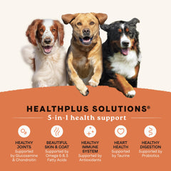 CANIDAE real-chicken-first ingredient close-up signals wholesome protein for muscles