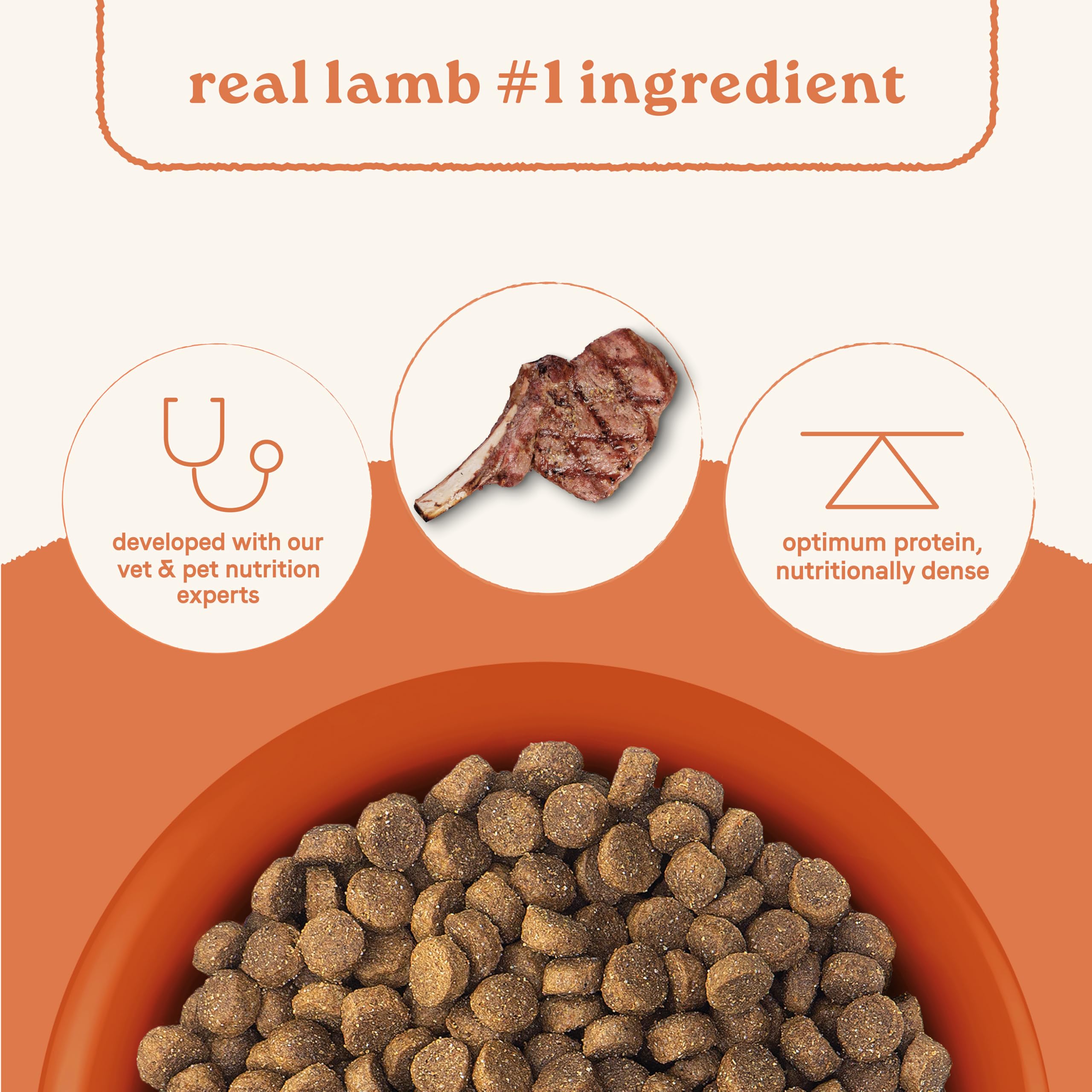CANIDAE All Life Stages high-protein kibble close-up, showcasing nourishing bites for active dogs.