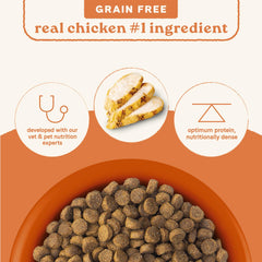 CANIDAE All Life Stages kibble close-up highlighting grain-free recipe and protein