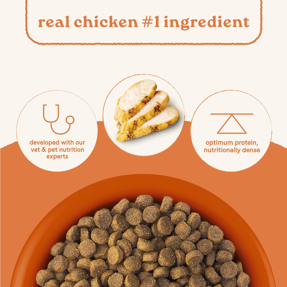 CANIDAE All Life Stages kibble close-up emphasizing high-protein bite for all breeds.