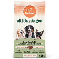 CANIDAE All Life Stages lamb-first-ingredient kibble in a bowl, supporting balanced nutrition.