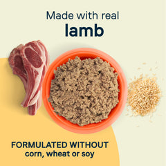 Canidae All Life Stages Lamb and Rice served in a bowl, inviting meal for multi-dog households.