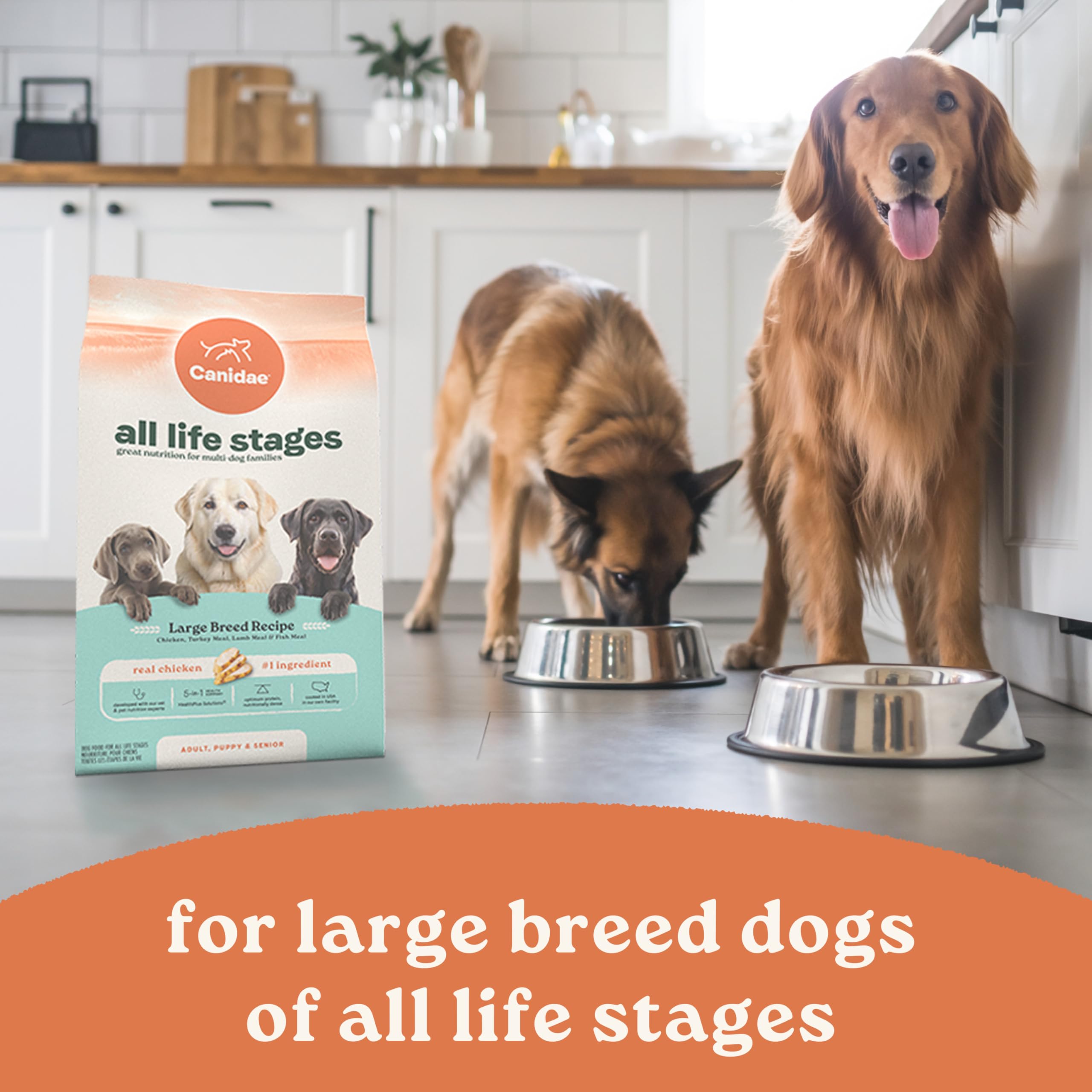 Close-up of CANIDAE All Life Stages Large Breed chicken-first recipe.