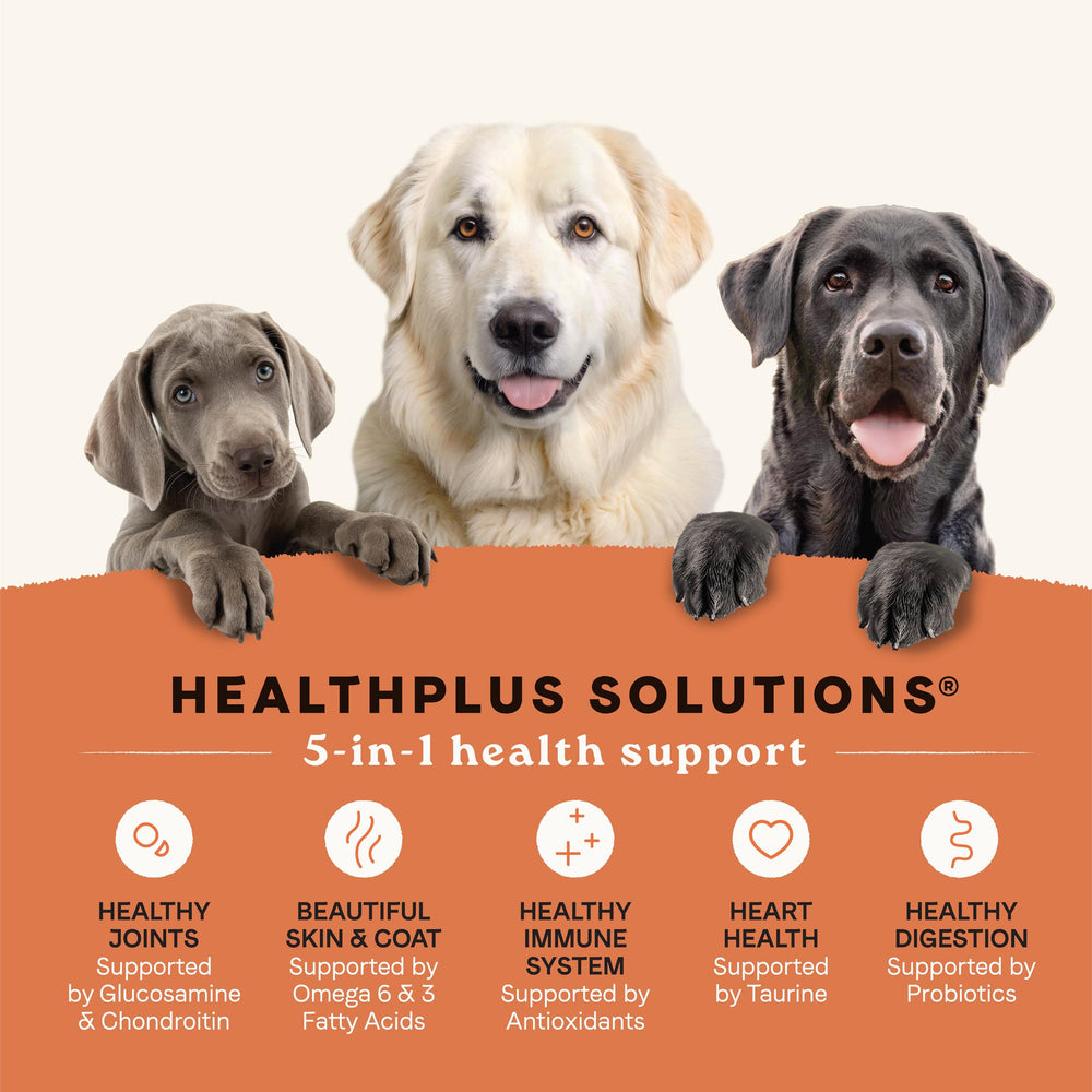 Pouring CANIDAE All Life Stages Large Breed kibble shows chunky bites for slow meals.