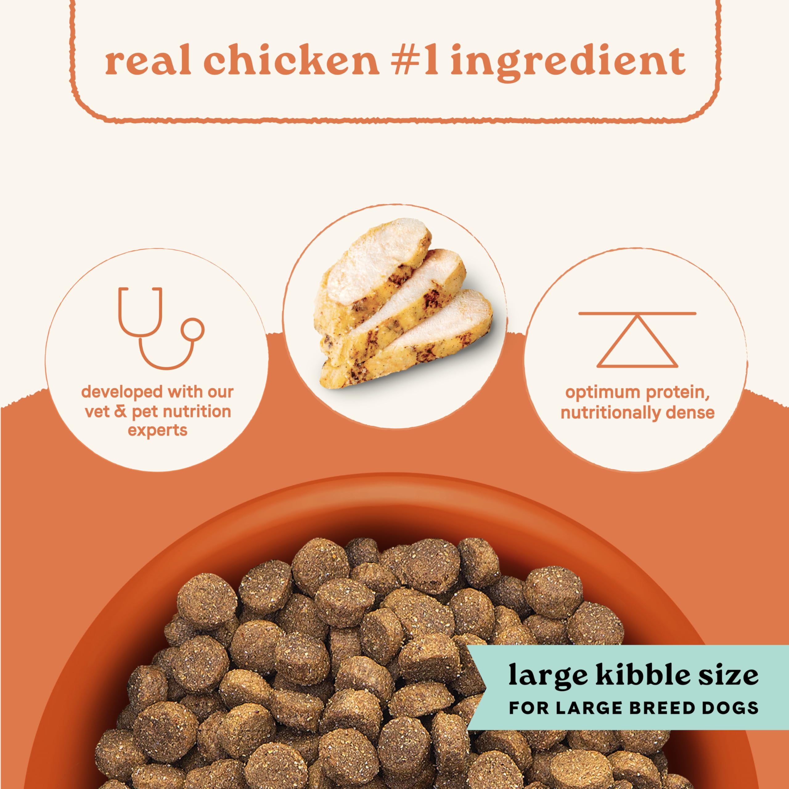 A large breed dog enjoys CANIDAE All Life Stages at mealtime.