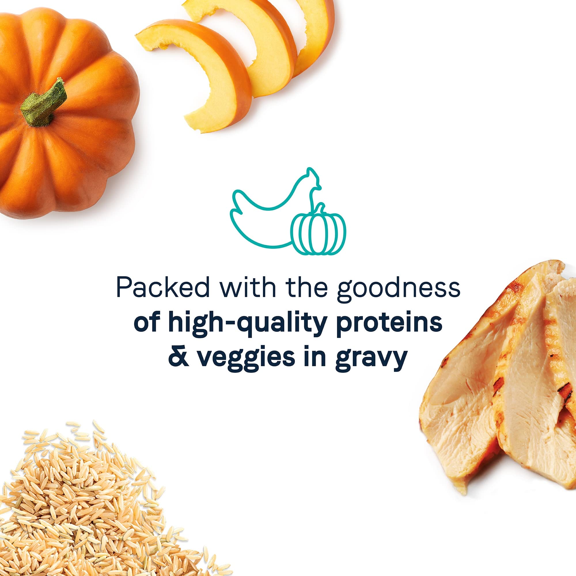 CANIDAE Balanced Bowl serving idea shows topper over kibble for variety.