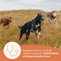 CANIDAE HealthPlus probiotics blend supports digestion and immune health in active dogs.