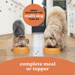 Wholesome multi-protein blend of chicken, lamb, and fish in CANIDAE wet food.