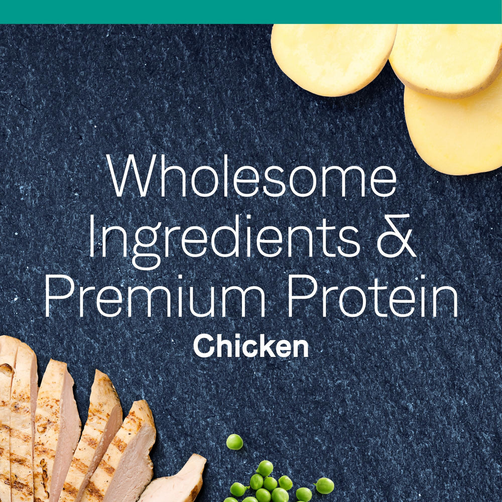 CANIDAE Pure Chicken Recipe grain free formula with antioxidants and probiotics for digestion support