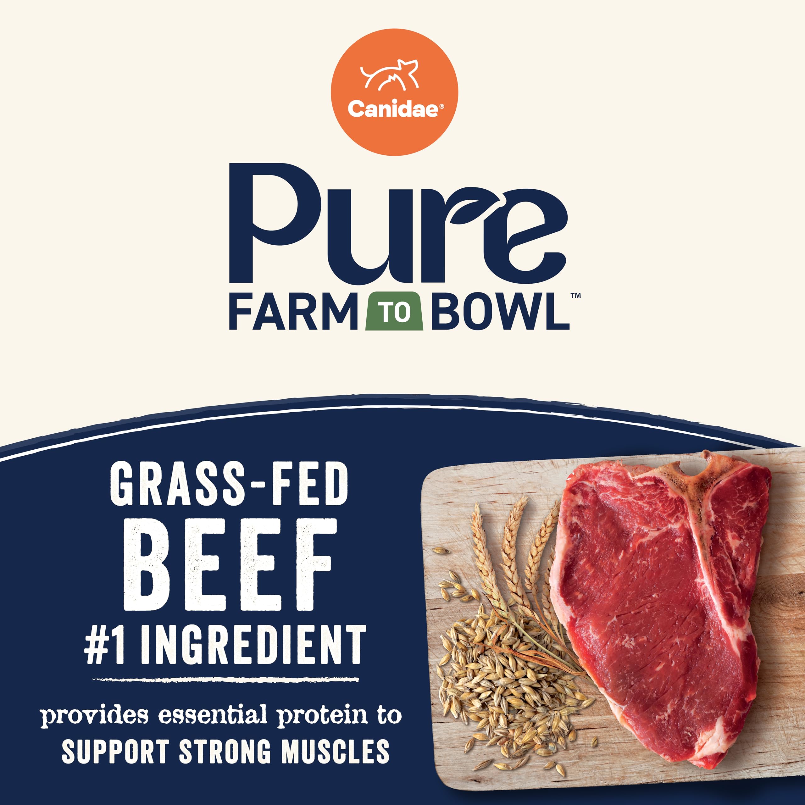 Canidae Pure Farm Barley Nutrition Bowl highlights natural carbs for steady energy.