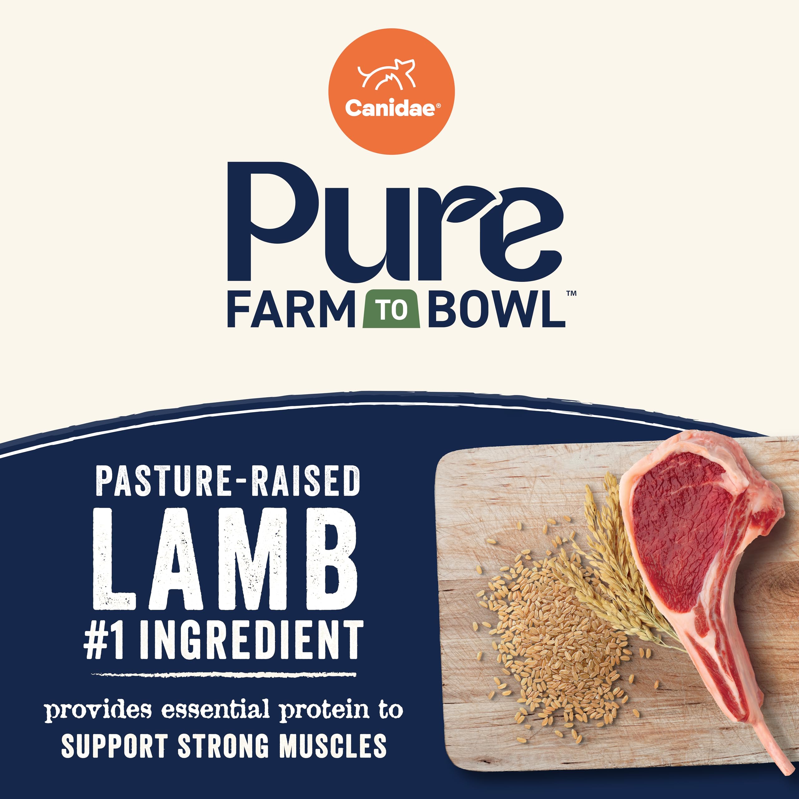 Canidae Pure Farm Lamb bowl kibble ready for serving with balanced energy