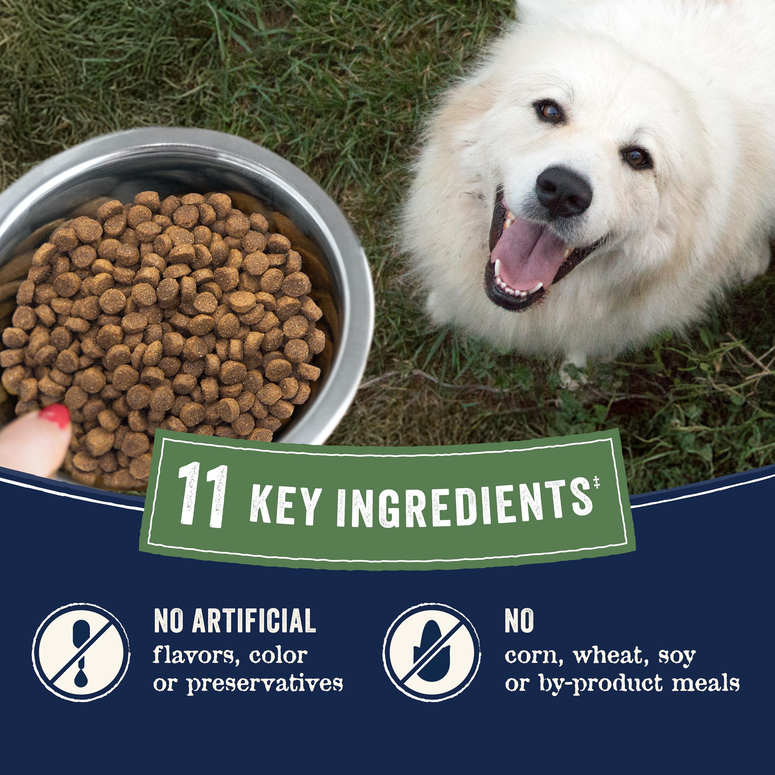 CANIDAE Pure Farm ingredients from regenerative farms supporting soil health