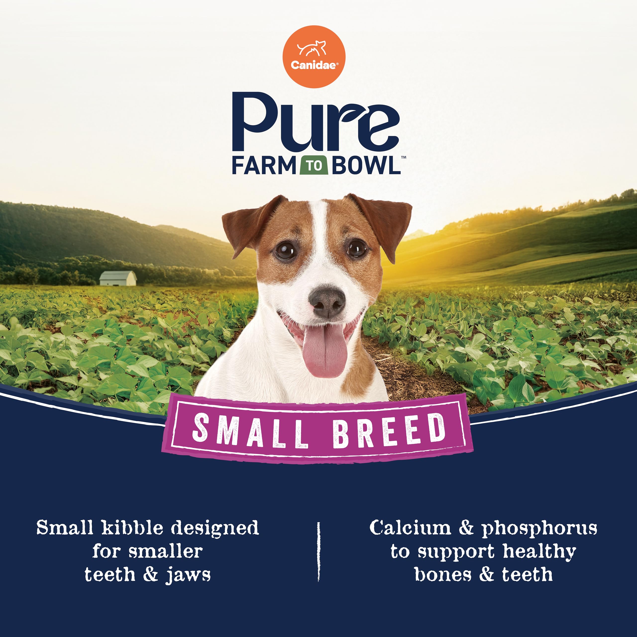 CANIDAE Pure Farm to Bowl Brownwood Texas facility cooking process closeup