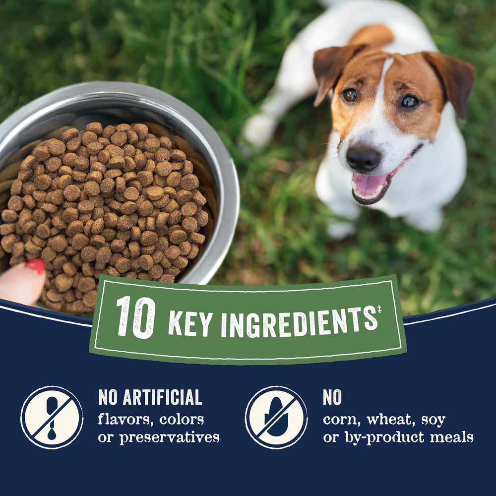 CANIDAE Pure Farm to Bowl no corn wheat or soy in recipe closeup