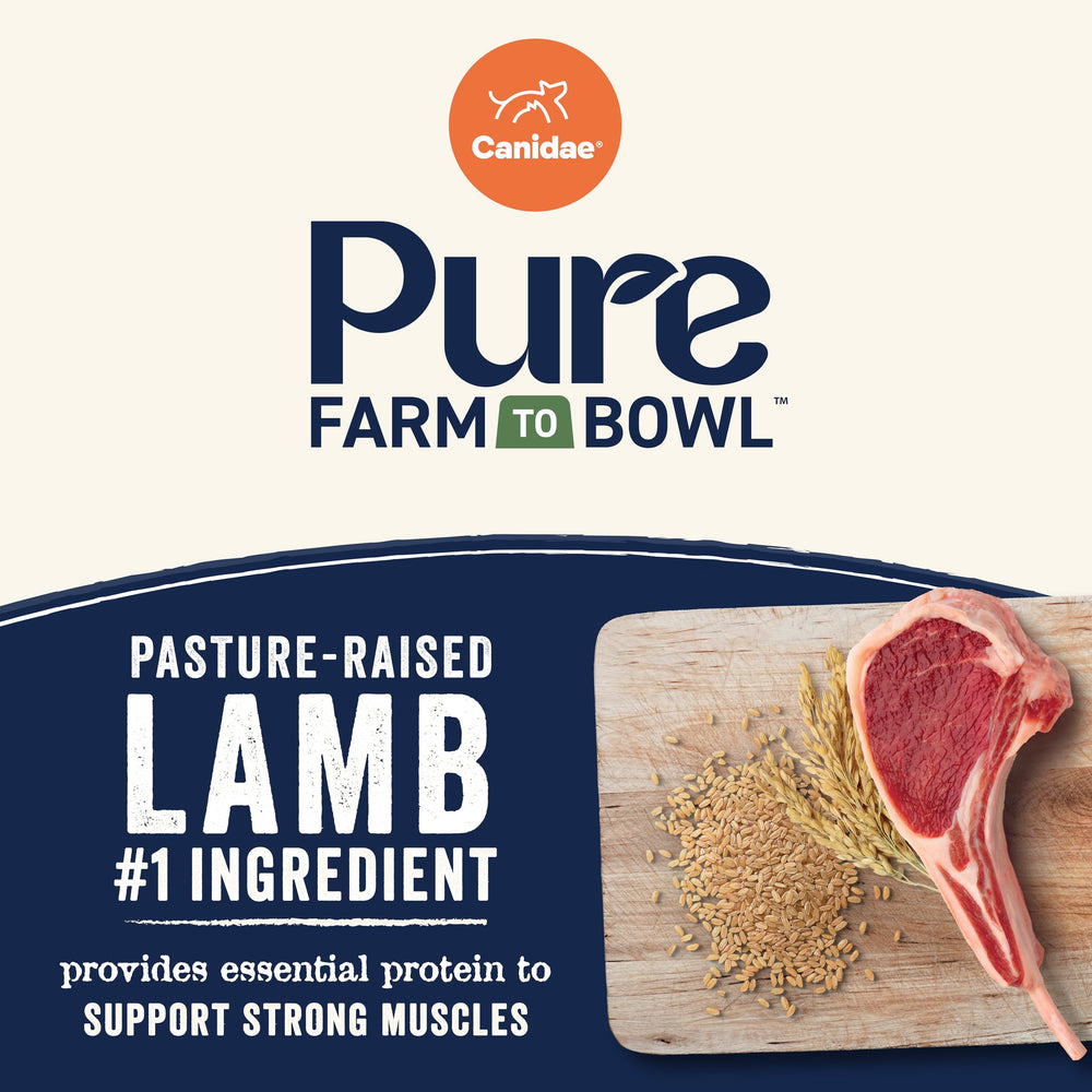 CANIDAE Pure Farm to Bowl brown rice ingredients close-up, wholesome grains for steady energy.