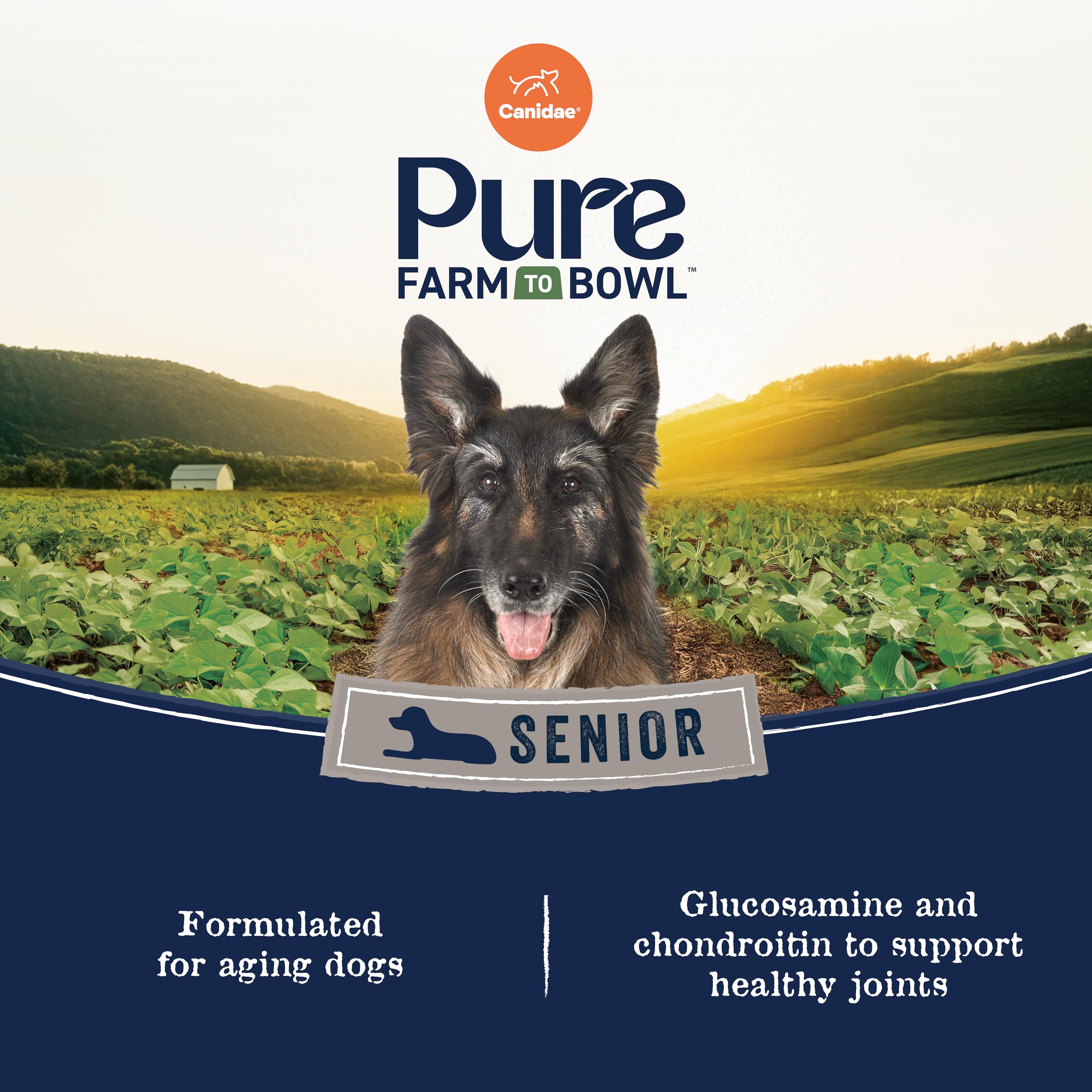 CANIDAE Pure Farm to Bowl garbanzo bean image showcases natural fiber for digestion