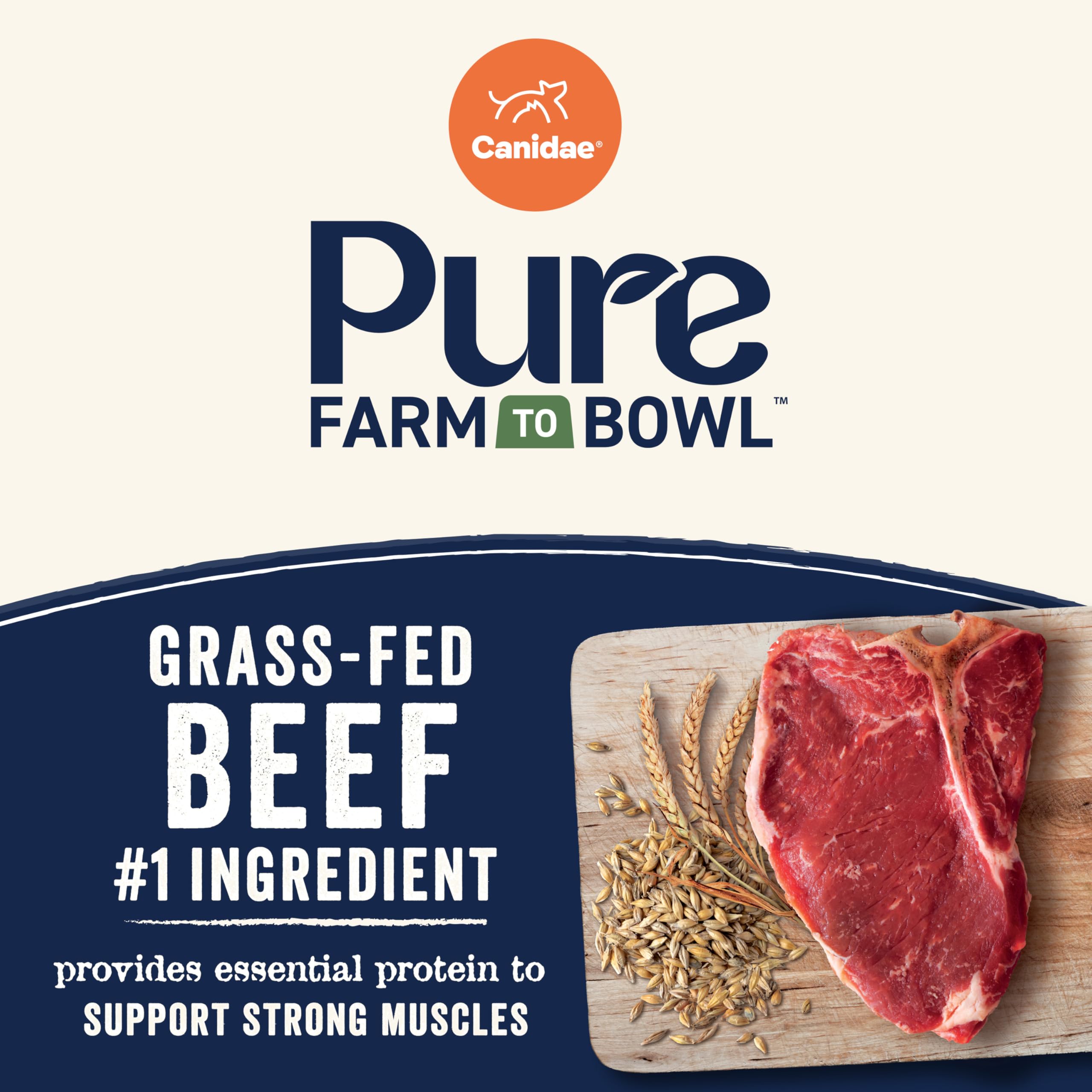 CANIDAE Pure Farm to Bowl kibble close-up showing high-quality pieces for dogs