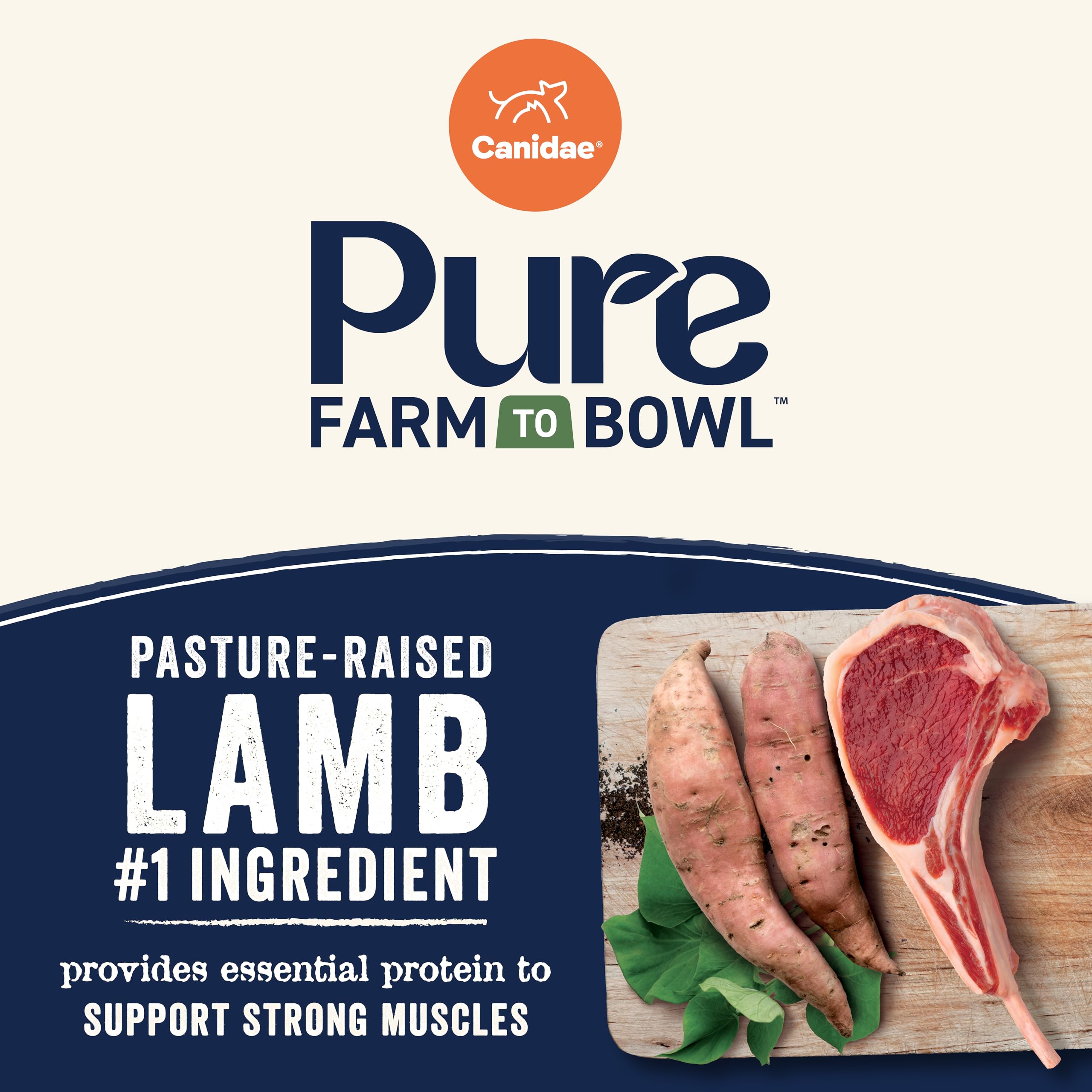 CANIDAE Pure Farm to Bowl lamb kibble in bowl for grain-free daily nutrition.