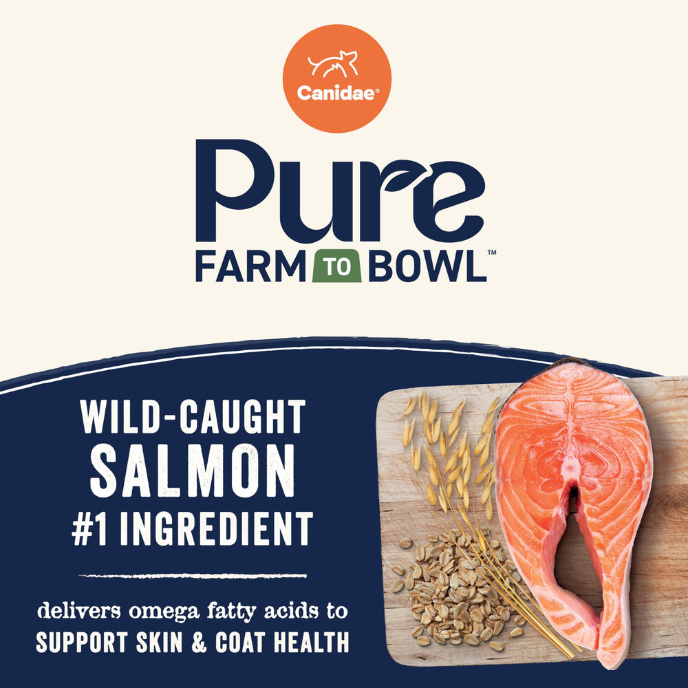 Canidae Pure Farm to Bowl puppy meal bowl close-up highlighting balanced nutrition.