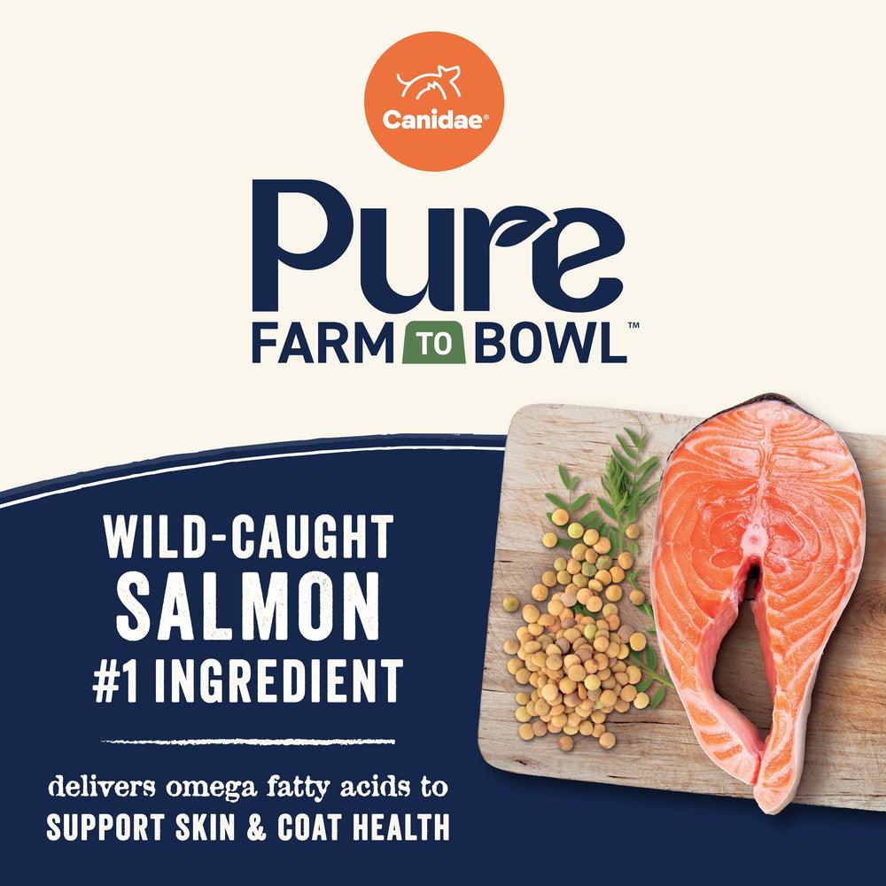 Canidae Pure Farm To Bowl salmon kibble close-up, texture ideal for small breed jaws.