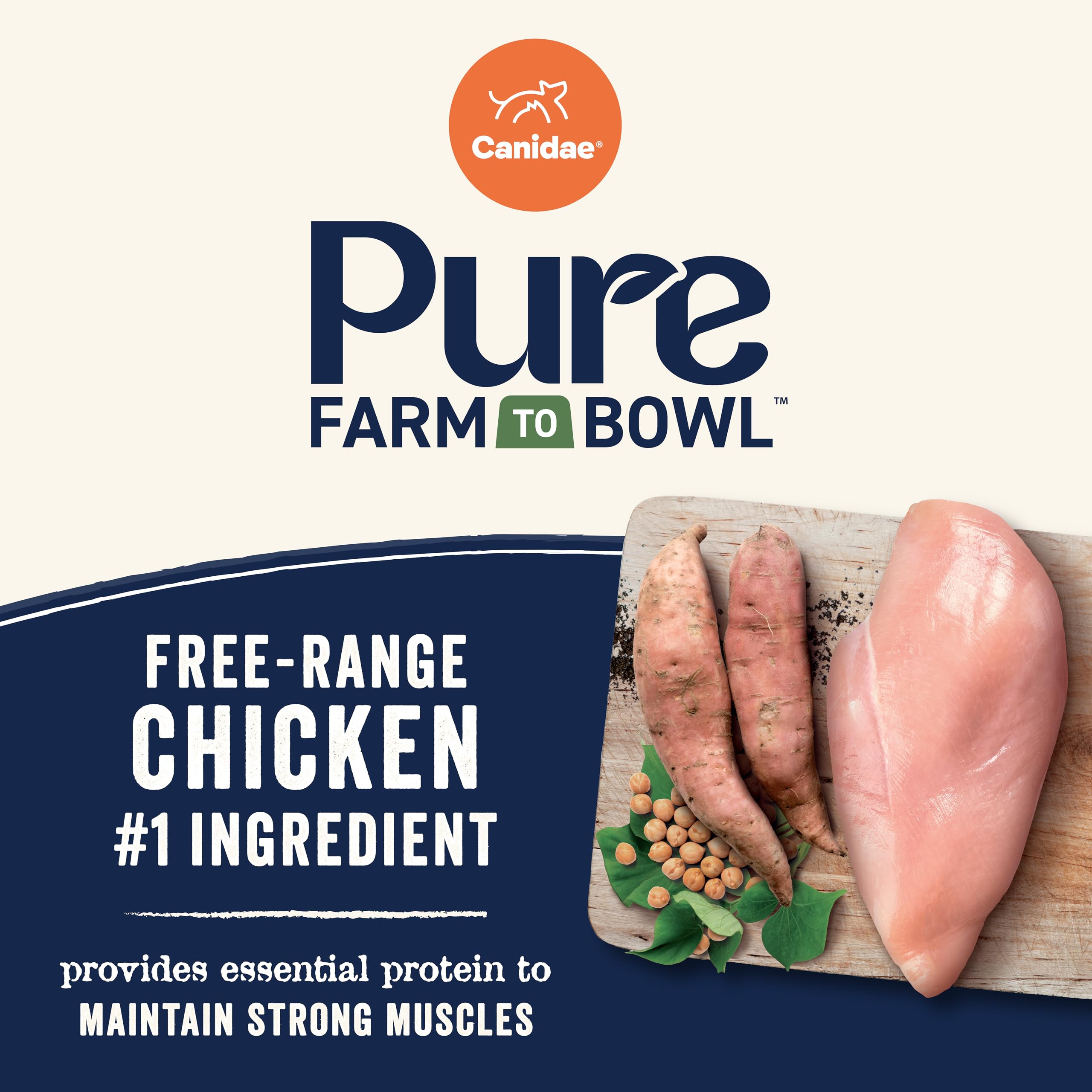 CANIDAE Pure Farm to Bowl sweet potato image emphasizes energy-boosting ingredients for aging dogs