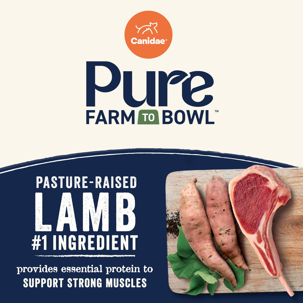 CANIDAE Pure Farm to Bowl sweet potato ingredients in kibble blend.