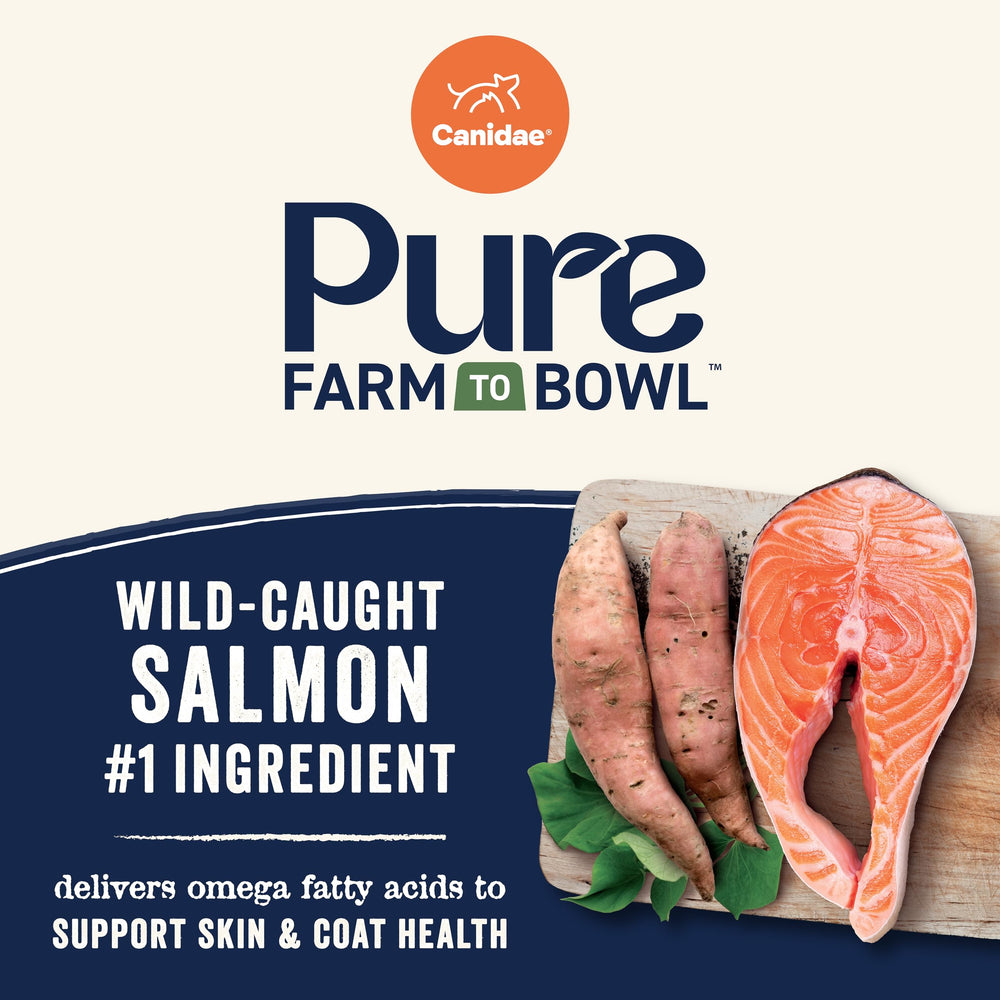 CANIDAE Pure Farm to Bowl sweet potato blend close-up supports grain-free digestion.