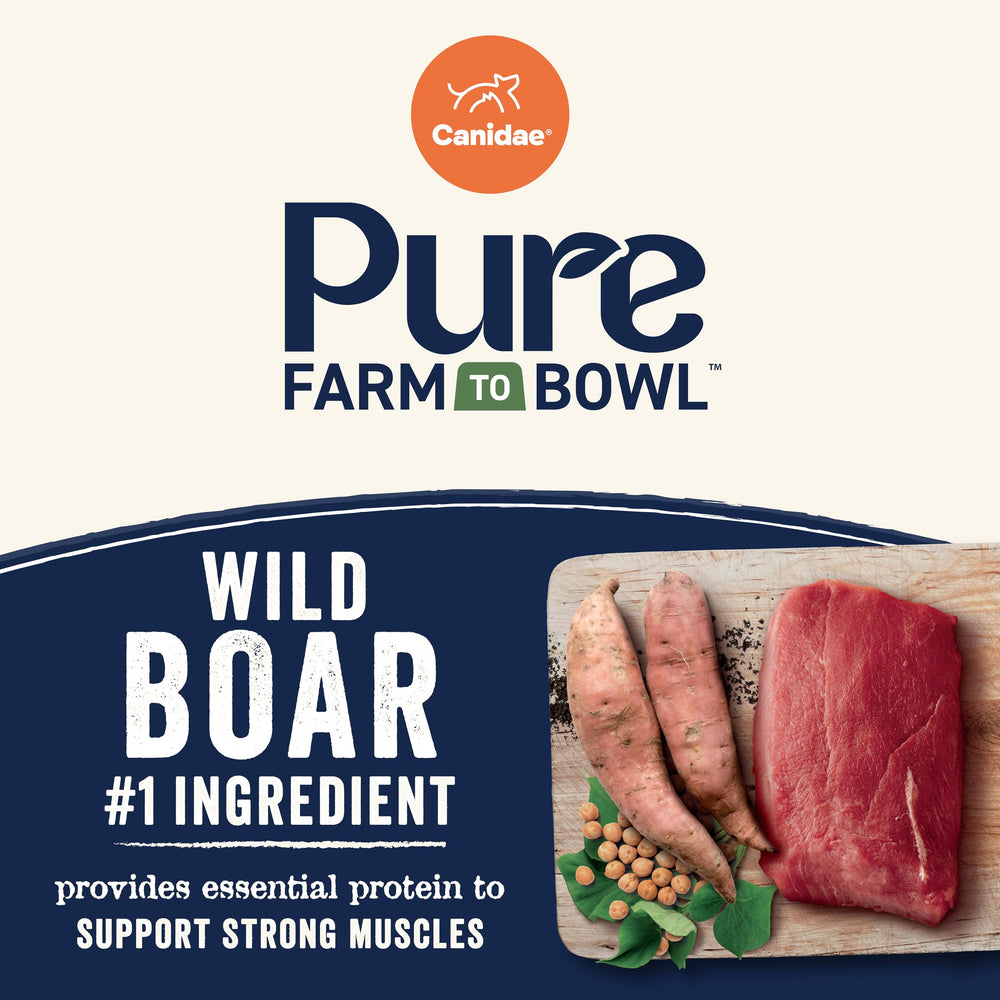 Canidae Pure Farm to Bowl Wild Boar protein close-up emphasizes quality ingredients
