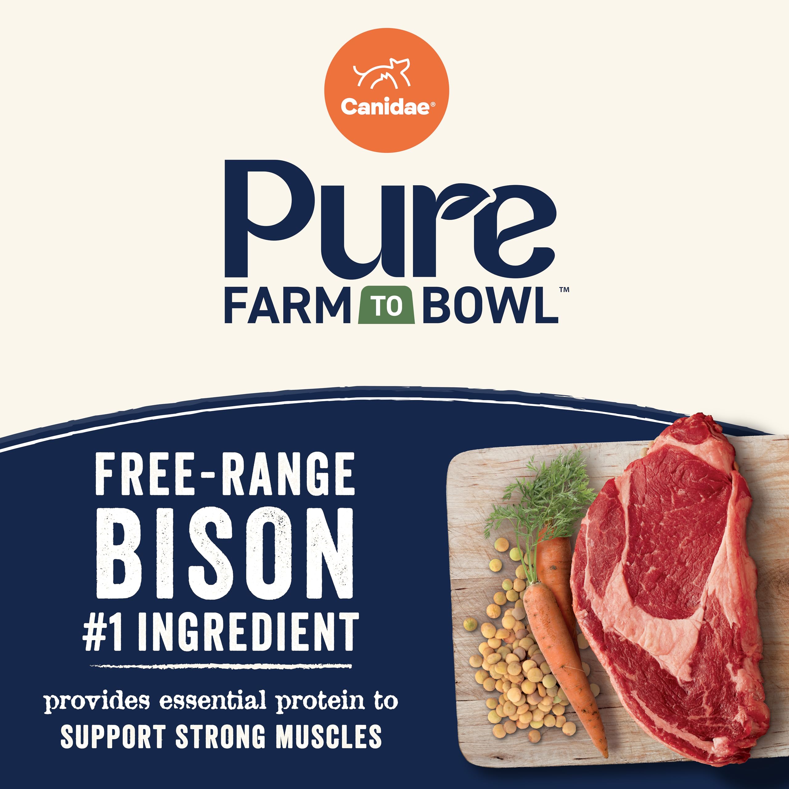 CANIDAE Pure kibble close-up highlights grain-free texture with lentils and carrots.