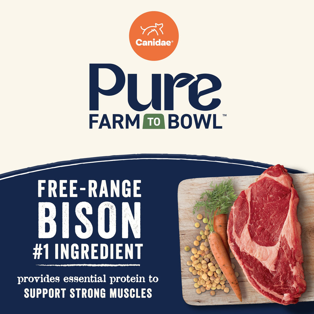 CANIDAE Pure kibble close-up highlights grain-free texture with lentils and carrots.