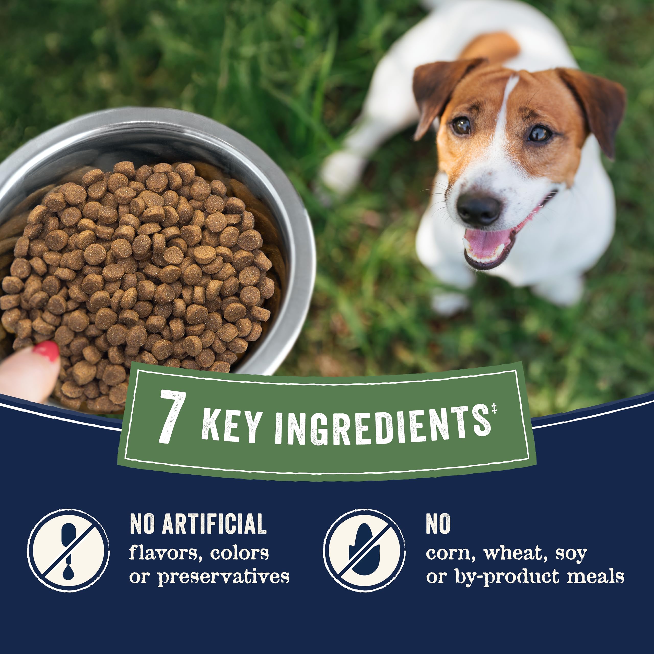 CANIDAE Pure Pasture-Raised Lamb Kibble—real meat in every bite.