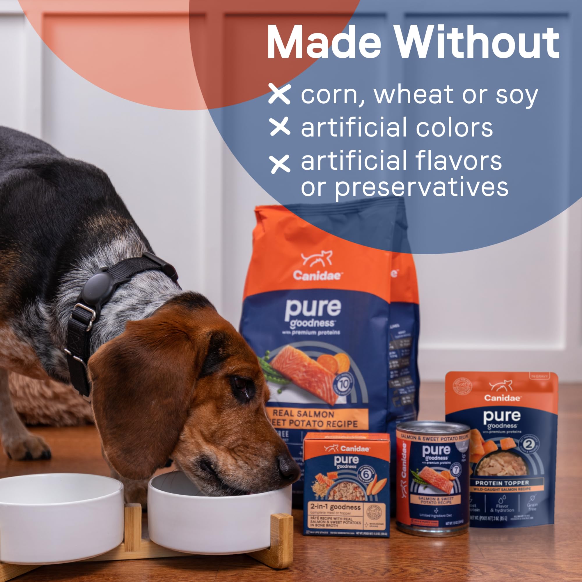 CANIDAE Pure Protein Topper dining ideas to mix with meals.