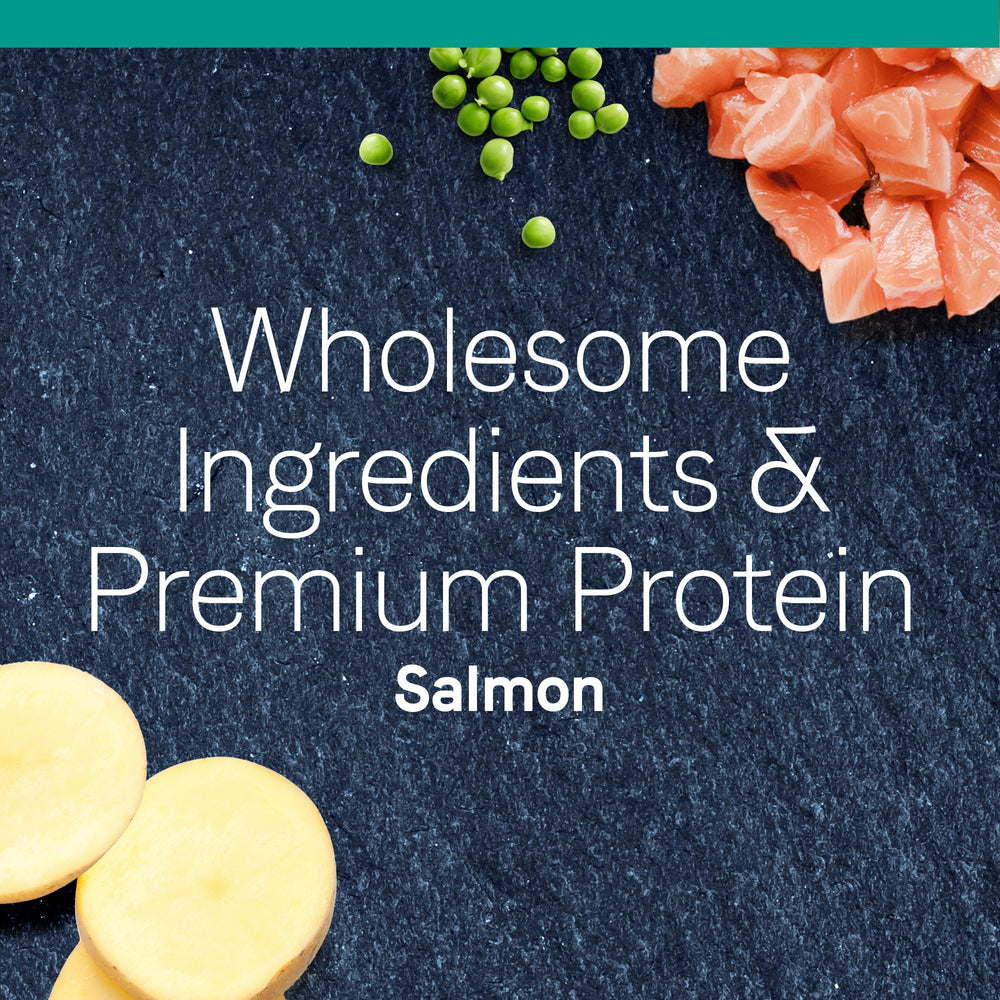 CANIDAE PURE Salmon Recipe grain-free kibble suitable for sensitive stomachs